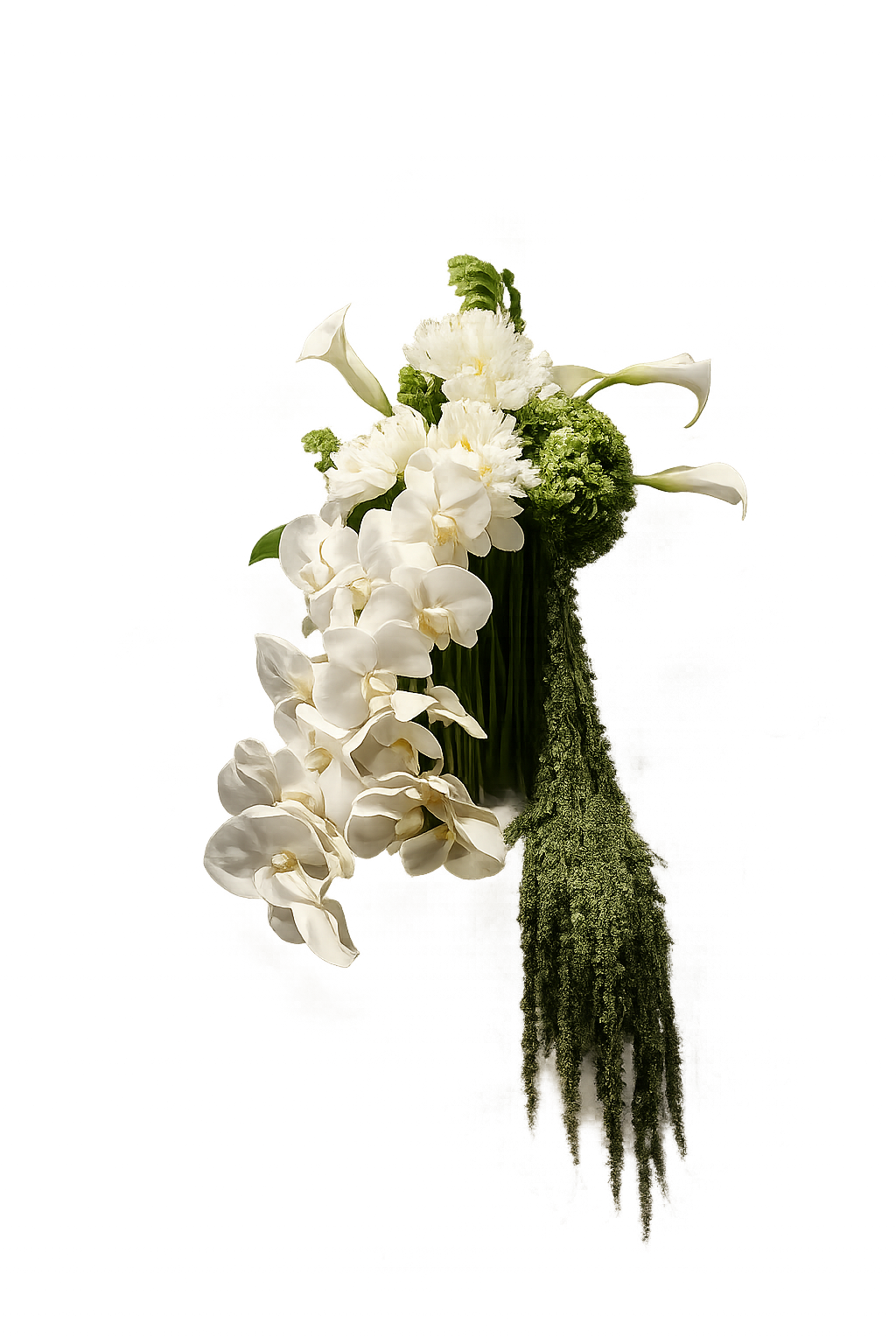 Sculptural white orchid and green amaranthus arrangement